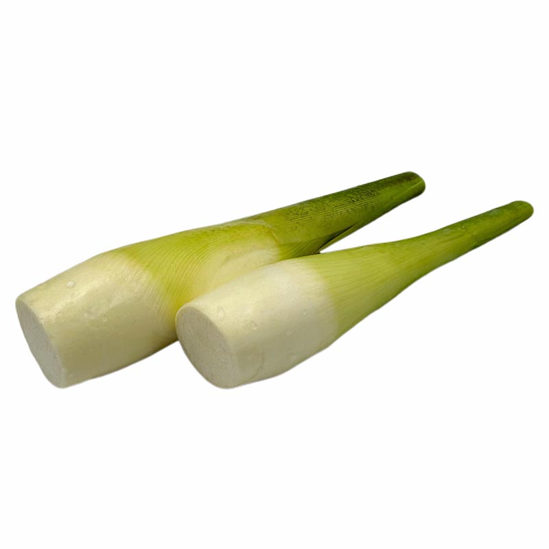 Cane Shoot